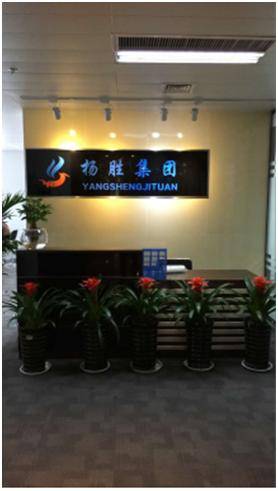 扬胜集团 互联网+时代为企业发展助力护航